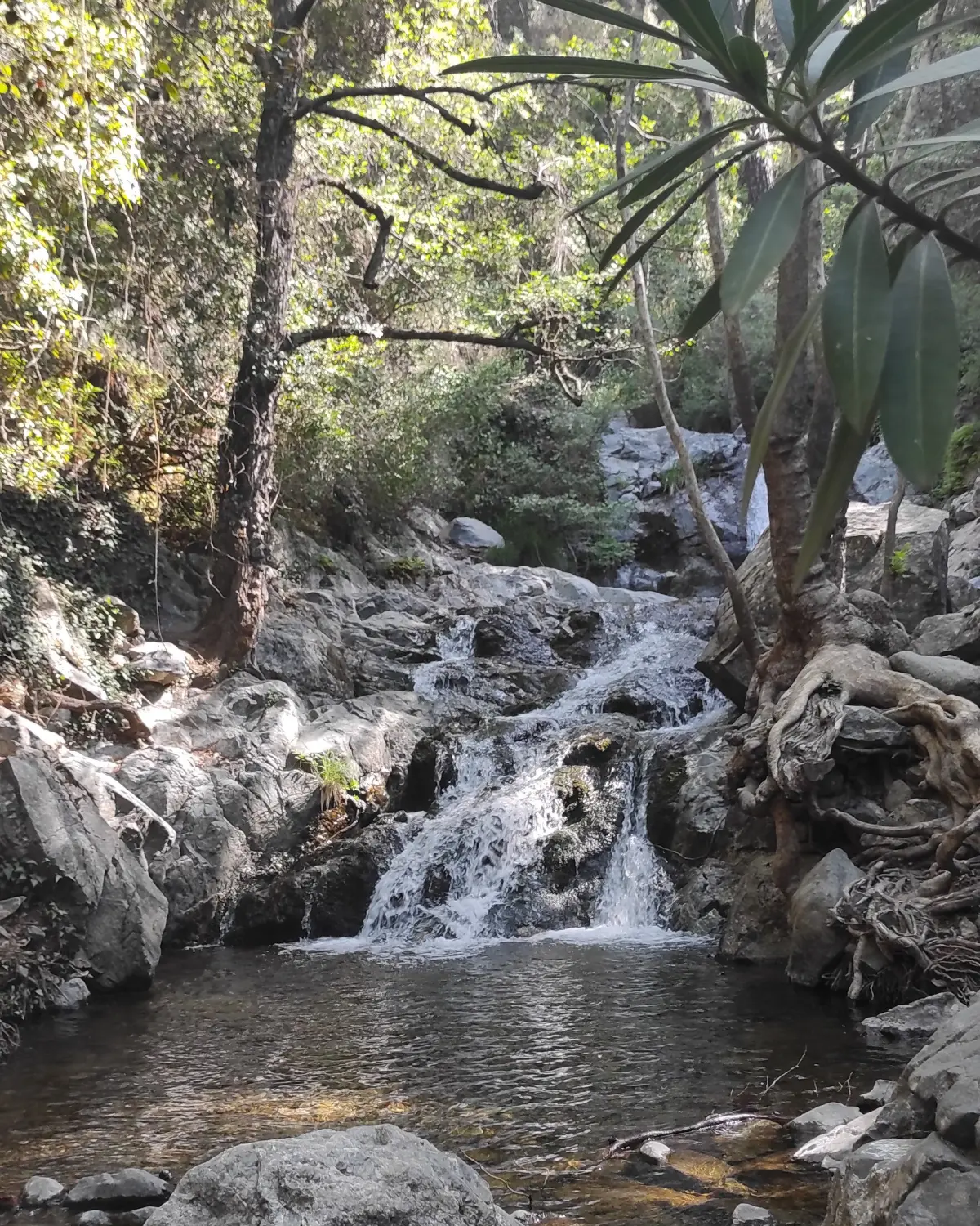 Fließendes Wasser von Dream Apartments Pafos  